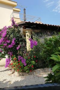 Apartments by the sea Cove Osibova, Brac - 23774