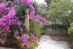 Apartments by the sea Cove Osibova, Brac - 23774