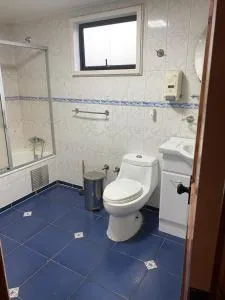 Casa costanera Panguipulli - Neltume