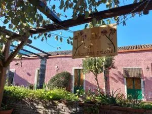 Codavolpe giardino di tea - Santa Venerina