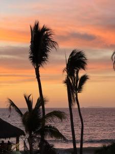 Hotel Gaviota Vallarta