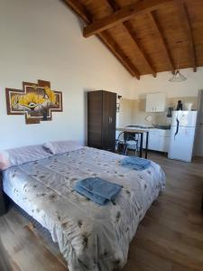 Departamentos Kolibri