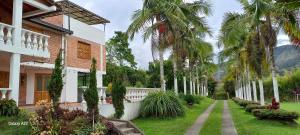 Finca Villla las Palmas