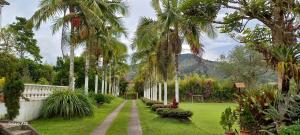 Finca Villla las Palmas