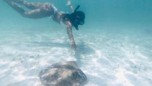 Florida Keys Boat Trips Multi Activity