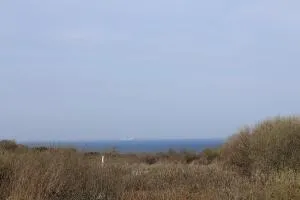 Les 4 oies - Wimereux - Beuvrequen