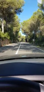 Los Vientos - Son Parc