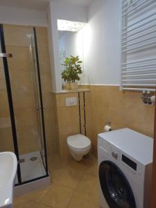 Apartament Parkowy