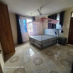 Wema centre apartment - Maua