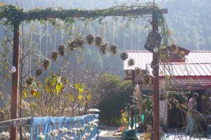 Panchvatika Eco Stay