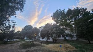 L Aglandau Au coeur des oliviers en Provence