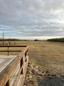 Cozy Kálfhóll in South Iceland