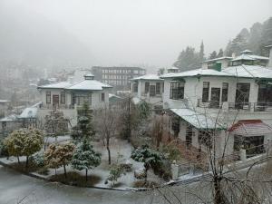 Shashi Homestays