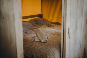 Wolny Las Glamping na Mazurach