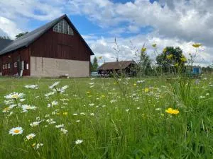 Älvängs natur & kulturhus - Tärnsjö