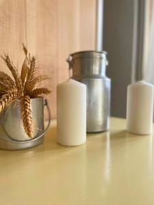 Echappée Marine - Plage du Grau-du-Roi