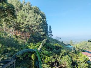 The View Residence