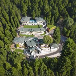 Royalpine Rosastays Kasauli - Baddi