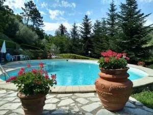 La casa del nonno - Momigno