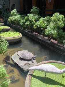 Jasmine Lodge Siem Reap