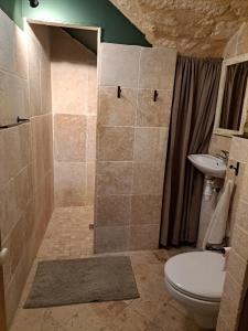 Maisons de vacances Mas
