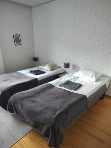 LibO-apartment, Rypys 74 X