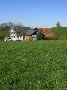 Gemütliche 2 Zimmerwohnung im Grünen - Schönenberg