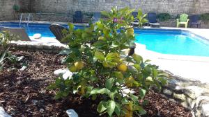 Villa del Re 2 face à la piscine