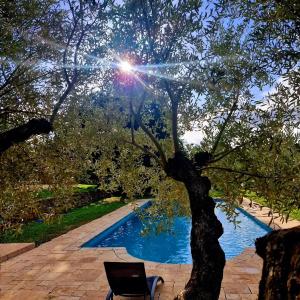 Maisons de vacances Maison de Caractere situee au coeur des domaines viticoles de BANDOL : photos des chambres