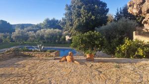 Maisons de vacances Maison de Caractere situee au coeur des domaines viticoles de BANDOL : photos des chambres