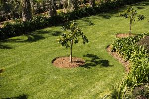 Azores Homes Resort & Spa