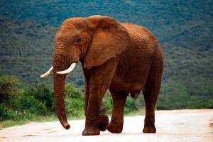 90 On Wellington Cottage