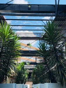 The Nook at Maboneng -24hr security, WiFi, cozy home