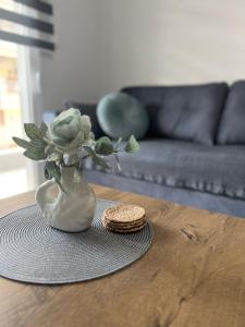 Drama Homes Miaouli #1