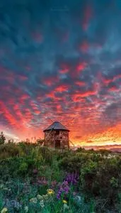 Moinho do Ourives - Arganil