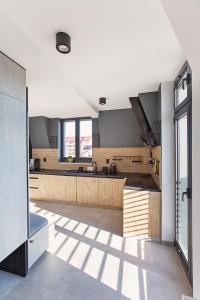 Loft Gryfita