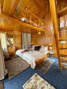 Duplex Chalet - Jibhi