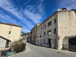 Maisons de vacances Superbe appartement au coeur des cevennes : photos des chambres