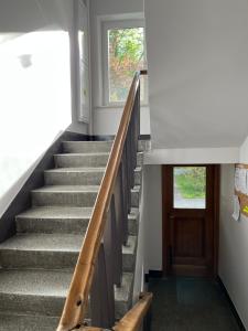 Newly redone studio in green Zoliborz