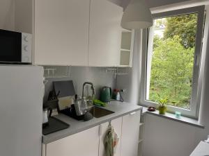 Newly redone studio in green Zoliborz