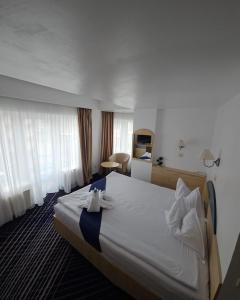 Standard Double Room room in Hotel Briza Mamaia