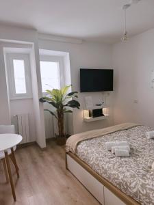 Vacanze Romane House