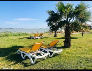 Bungalow 6-8 personnes de 40m2