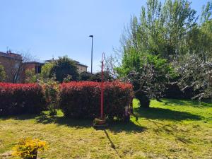 Appartamento con 1 Camera da Letto
