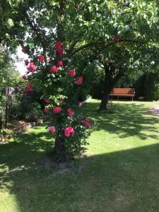Ferienwohnung Naturpark Südheide im Retro-Style - Bergen