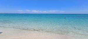 Alguer Old Town img20