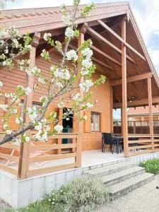 Ferienhaus Evelyne - Fertőrákos