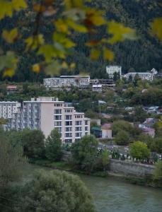 New Borjomis house25