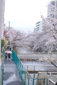 Waseda House