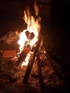 4 Bedroom Luxury Bungalow In Manali With Beautiful Scenic Mountain & Orchard View - #Private Bungalow #Premium Big rooms #Parking #Guest Preferred